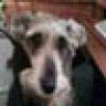 Spanky