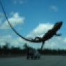 DrunkenLizard