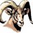 mtgoat